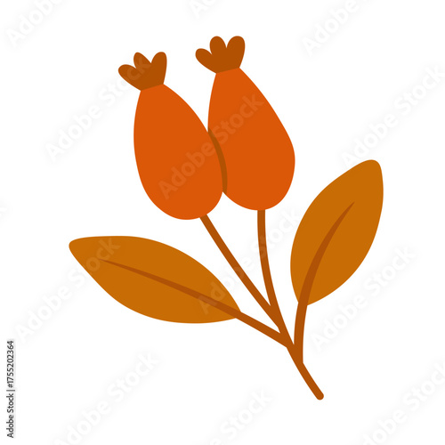 Flat vector illustration of autumn berries with leaves in warm colors, simple minimal design, white background.