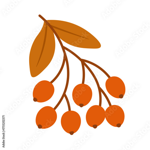 Flat vector illustration of an autumn branch with orange berries and leaves, minimal style, white background.