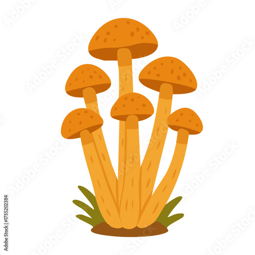 Flat vector illustration of orange mushrooms growing in grass, autumn forest element, white background.