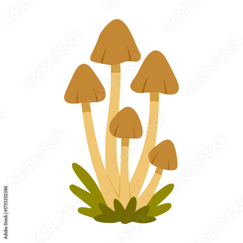 Flat vector illustration of brown mushrooms growing in grass, natural forest plant, white background.