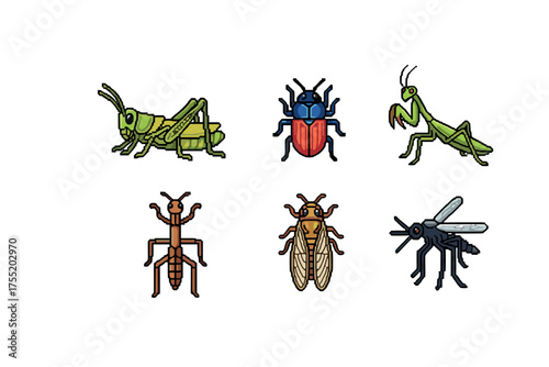 Colorful insect collection: grasshopper, beetle, mantis, ant, cicada, fly illustrations. Vector illustration