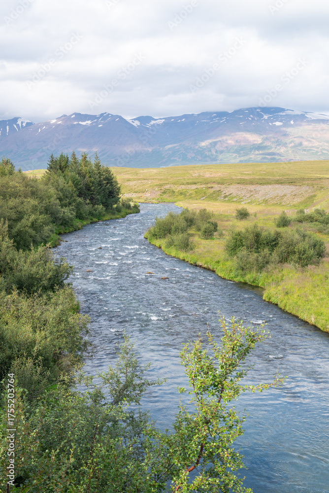 Fototapeta premium River Thorvaldsdalsa in Arskogssandur in Iceland