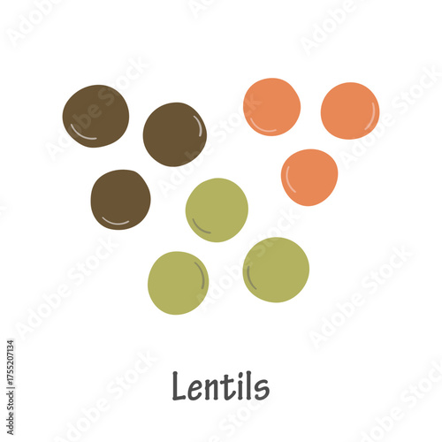 Hand Drawn Lentils Illustration