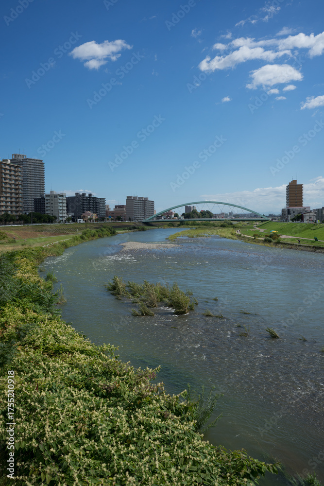 Fototapeta premium 雲の流れる川辺の風景