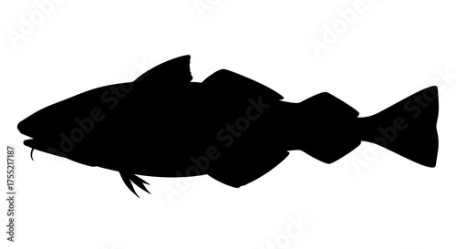 Silhouette of a cod fish with visible barbels and fins, isolated on white background.
