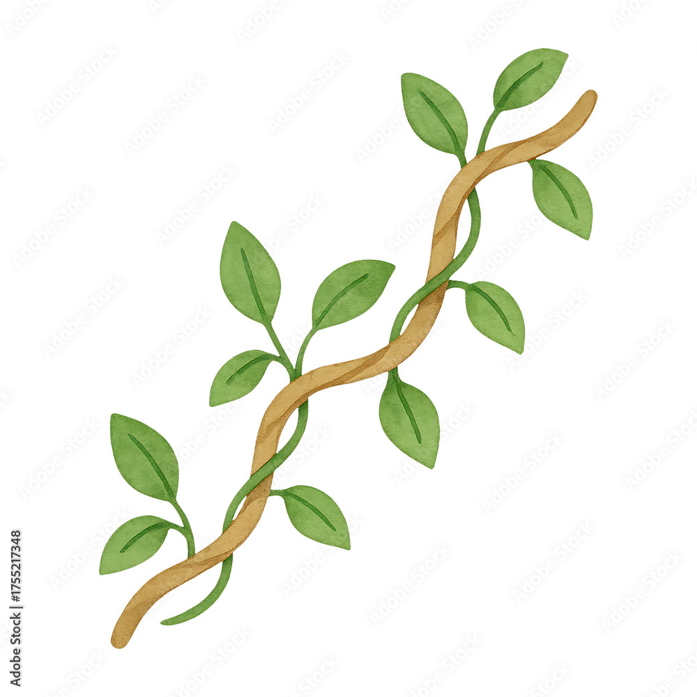 Obraz premium PNG Natural vine illustration with leaves.