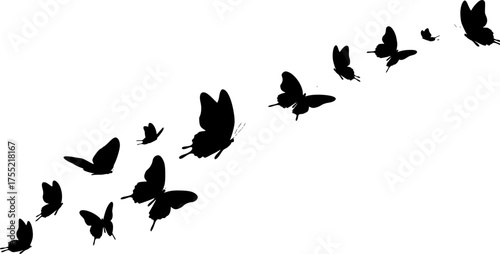 A collection of black butterfly silhouettes shown from multiple angles and in various flight poses.