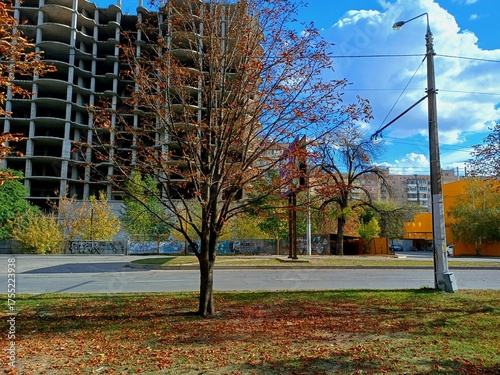 autumn in the park