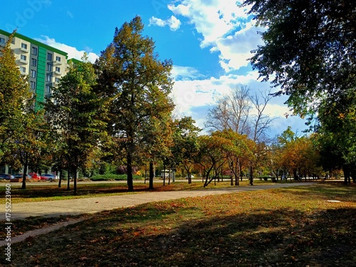 autumn in the city