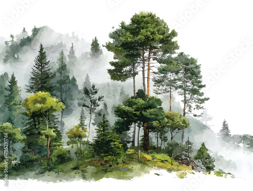 A serene landscape featuring tall trees amidst a misty forest, showcasing various shades of green and a tranquil atmosphere