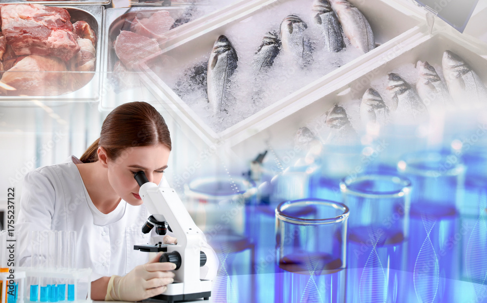 Fototapeta premium Laboratory food analysis. Expert using microscope, multiple exposure with test tubes, seafood and meat