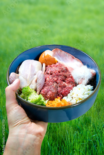 Natural raw dog food. A hand holds a bowl of fresh raw meat and vegetables against green grass background. Closeup of raw natural dog food in bowl