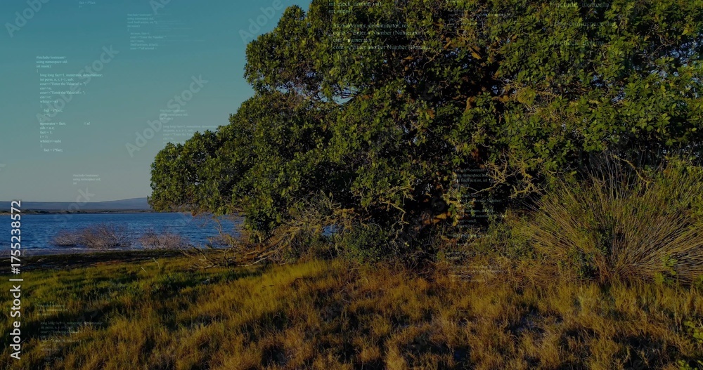 Obraz premium Leafy shrubs and grass tufts swaying in breeze along lake shore, with rolling hills, copy space