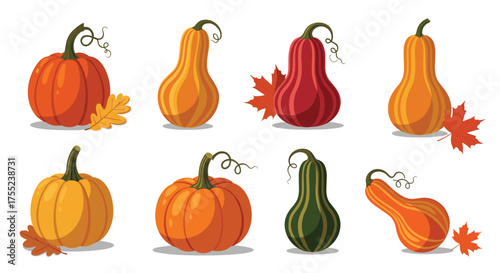Colorful autumnal pumpkins and gourds evoke a cheerful harvest festival vibe, perfect for Thanksgiving, Halloween, and seasonal decorations