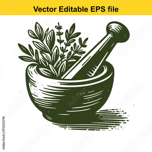 Vector art of mortar and pestle with herbs