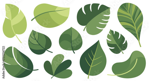 A stylized collection of various green leaves, showcasing diverse botanical and tropical foliage