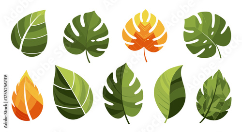 A diverse collection of stylized tropical leaves and jungle foliage icons