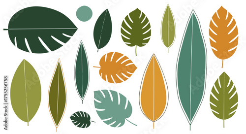 Collection of various leaf shapes and colors in a stylized flat design