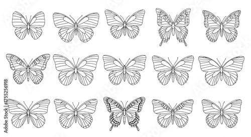 Vector art of detailed line art of various butterflies for decoration