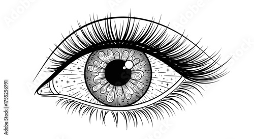Vector art of detailed eye with intricate patterns in black and white