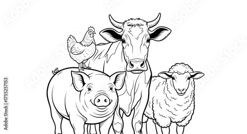 Vector art of farm animals, including chicken, pig, cow, and sheep in a group