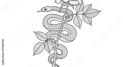 Vector art of snake coiled around rose in black and white drawing