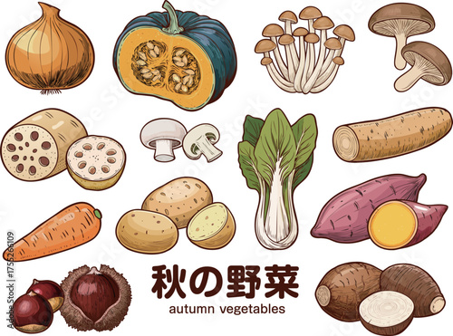 秋の野菜