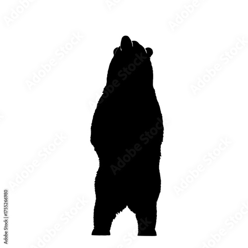 Majestic silhouette of a standing grizzly bear full body animal wildlife icon design