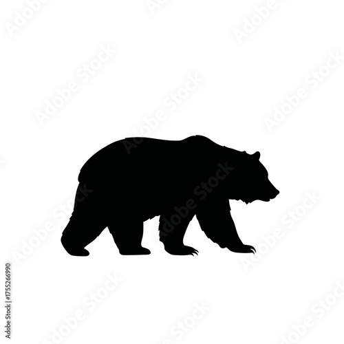 Silhouette of a majestic grizzly bear walking with powerful strides isolated on a clean backdrop