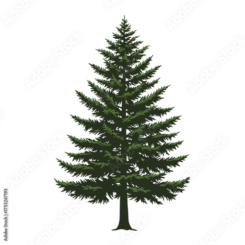 Realistic pine tree evergreen conifer forest nature plant flora seasonal outdoors foliage woodland