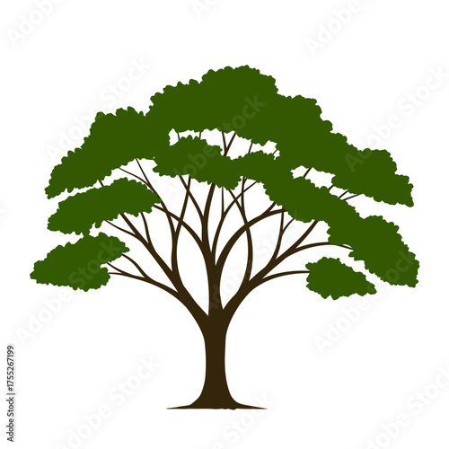 Beautiful lush green tree with spreading branches and dense foliage majestic woodland symbol