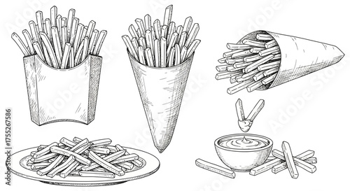Hand-drawn illustration of french fries served in various containers and a dish with dipping sauce