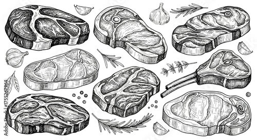 Assortment of Hand-Drawn Steaks and Cuts of Meat with Herbs and Spices