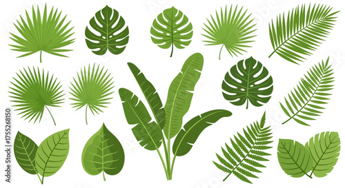 Tropical Green Leaves Vector Collection – Exotic Jungle and Palm Leaf Set