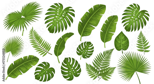 Tropical Green Leaves Vector Collection – Exotic Jungle and Palm Leaf Set