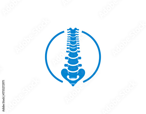 A blue stylized illustration of a human spine encompassed by a segmented circle shape on a white background