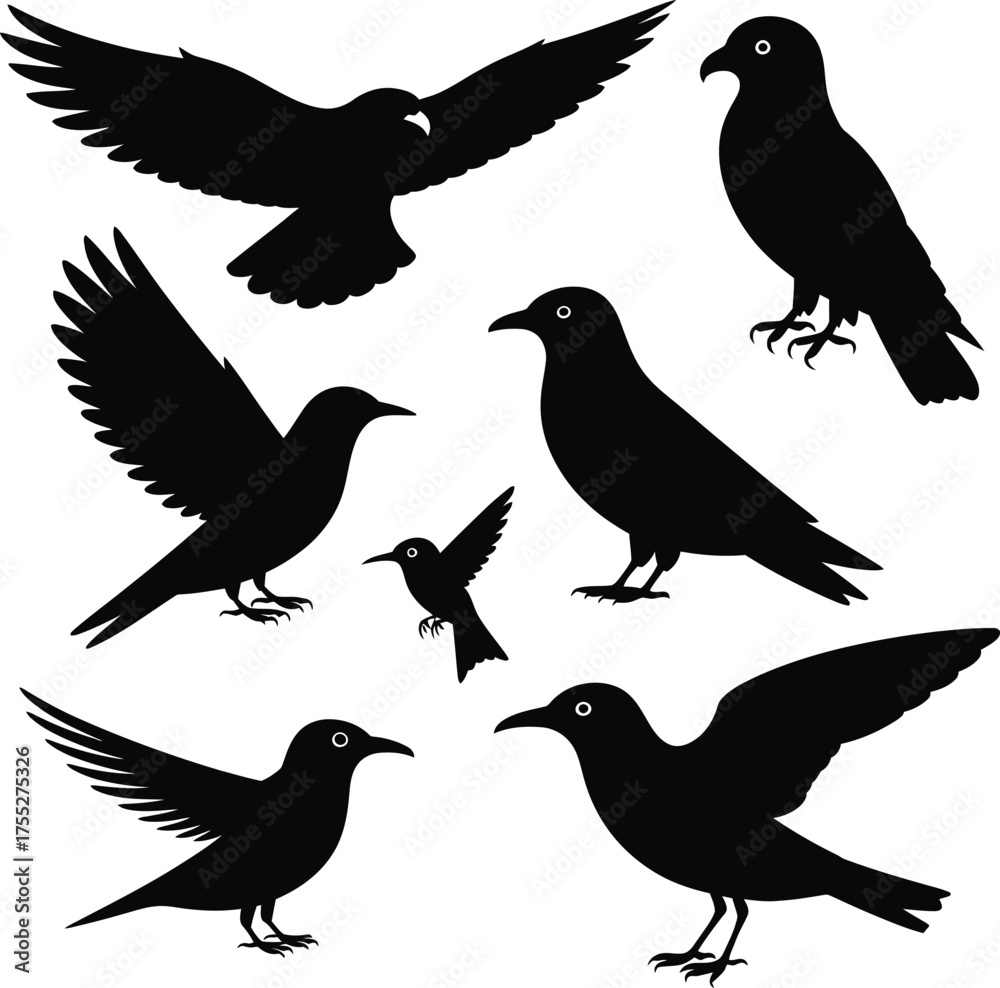 Fototapeta premium Black bird silhouettes flying standing vector