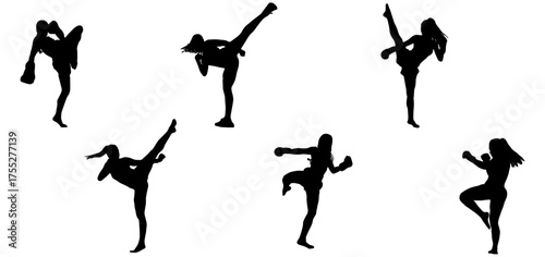 MMA fighting sport silhouette vector