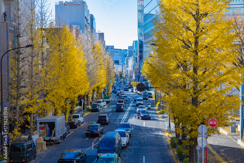 A cityscape of traffic jam at city street with yellow leaves in Harajuku Tokyo