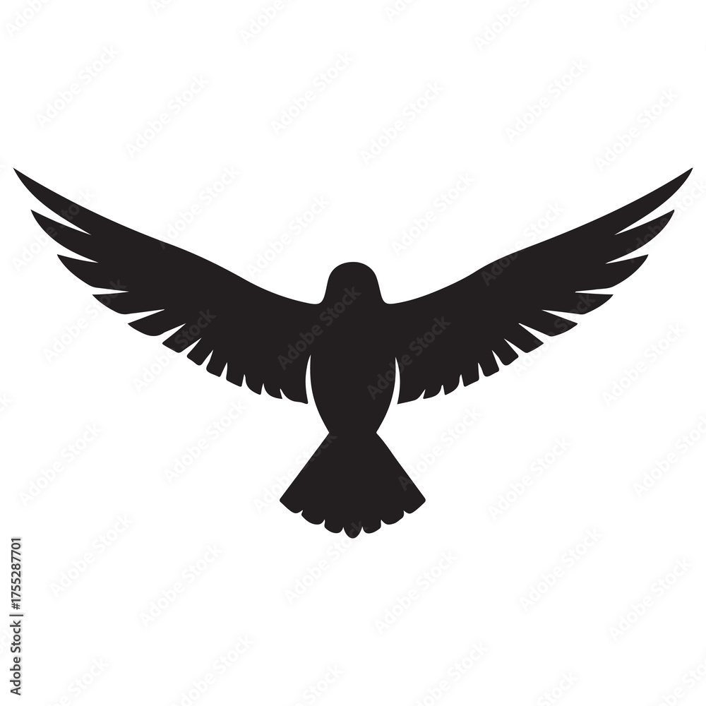 Fototapeta premium Eagle flying in the sky on white background