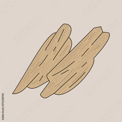sandalwood. spice. aromatic. perfume ingredient. perfume note. agriculture. herbal. vector illustration