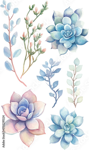 Watercolor, simple clean-line illustration of succulents and branches, soft pastel colors, clip art for stickers, white background.

