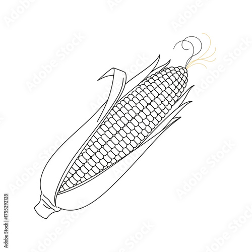 Vector art of a simple line drawing of an ear of corn with husks peeled back, isolated on a, showcasing the kernels in a detailed pattern, perfect for agricultural or foodrelated themes