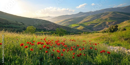 A vibrant meadow with red poppies and green grass, set against a backdrop of rolling hills and mountains under a clear blue sky with scattered clouds.