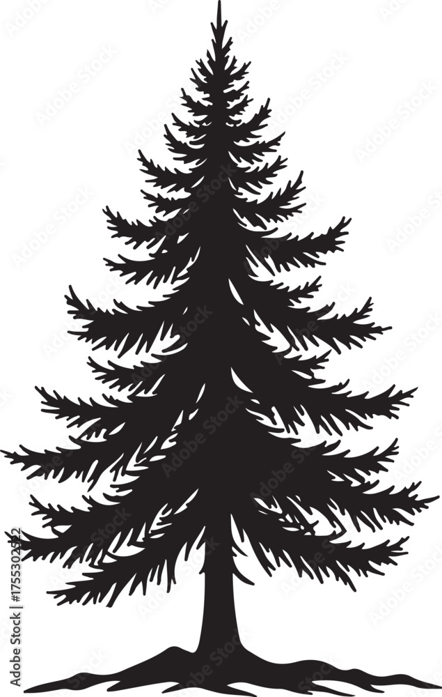 Fototapeta premium Black silhouette of a pine tree with branches evergreen