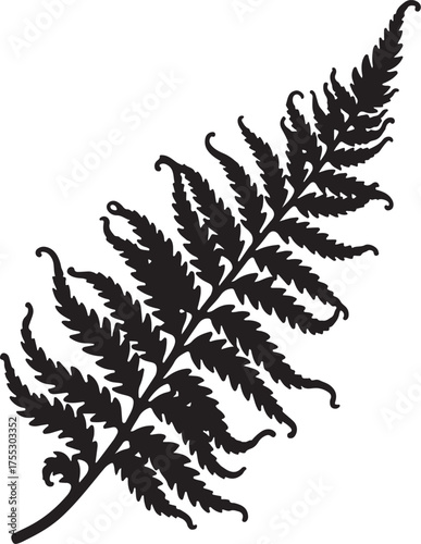 Black silhouette of a fern frond on white background