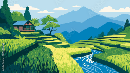Rice Terrace with Irrigation Water Flow