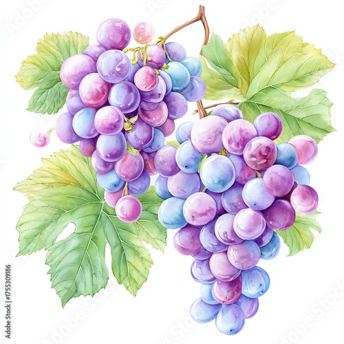 Vibrant Grape Bunch: A luscious bunch of fresh grapes, bursting with shades of purple, green, and blue, is artistically rendered. The scene captures a sense of abundance and natural beauty.