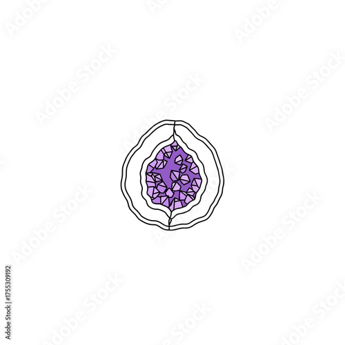 flattened_288