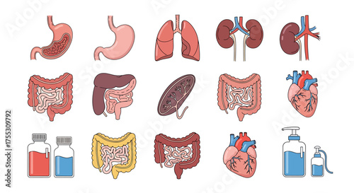 Adobe Illustrator Artwork